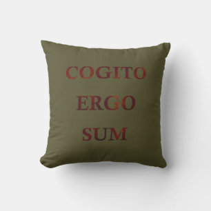 Cogito ergo sum kissen