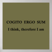 cogito ergo sum, lateinischer Satz Poster (Vorne)