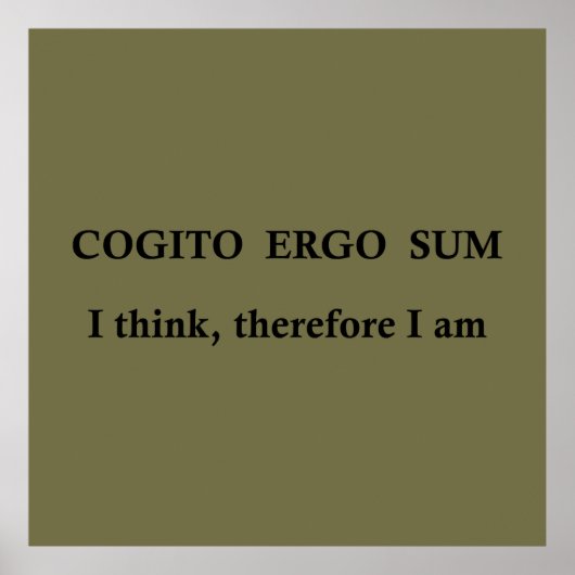 cogito ergo sum, lateinischer Satz Poster (Vorne)