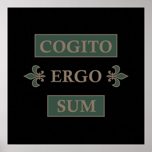 cogito ergo sum, lateinischer Satz Poster (Vorne)