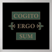 cogito ergo sum, lateinischer Satz Poster (Vorne)