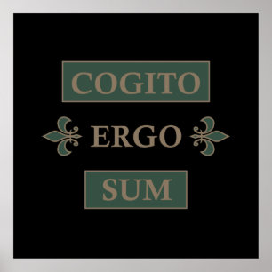 cogito ergo sum, lateinischer Satz Poster