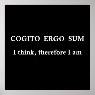 cogito ergo sum, lateinischer Satz Poster