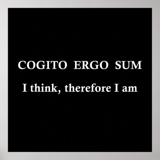 cogito ergo sum, lateinischer Satz Poster (Vorne)