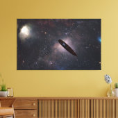 Cogito Ergo Sum Leinwanddruck (Insitu (Wohnzimmer))