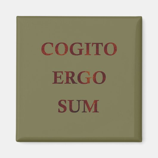 Cogito ergo sum magnet (Vorne)
