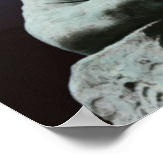 Cogito, ergo sum poster (Ecke)