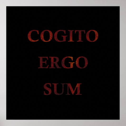 Cogito ergo sum poster (Vorne)