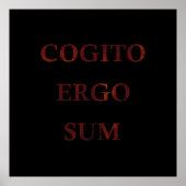 Cogito ergo sum poster (Vorne)