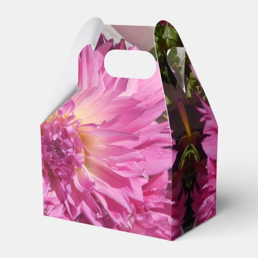 Cogniet Geschenkschachtel (Rückseite)