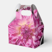 Cogniet Geschenkschachtel (Vorderseite)