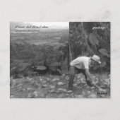 Cohiba Bahikes? Postkarte (Rückseite)