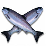 Coho-Lachs-Kreuz-Foto-Skulptur Freistehende Fotoskulptur<br><div class="desc">Coho-Lachs-Kreuz-Foto-Skulptur</div>