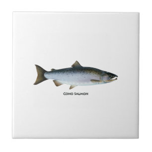 Coho-Lachs-Logo (mit dem Titel) Fliese