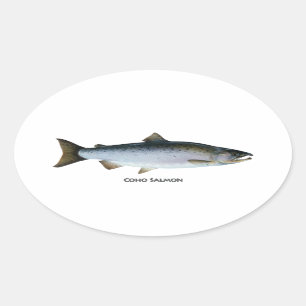 Coho Salmon Ovaler Aufkleber