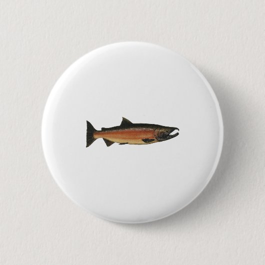 Coho - silberne Lachse (Phase laichend) Button (Vorderseite)