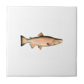 Coho - silberne Lachse (Phase laichend) Fliese (Vorderseite)