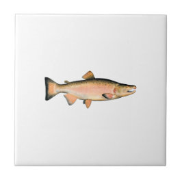 Coho - silberne Lachse (Phase laichend) Fliese