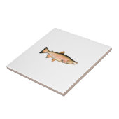 Coho - silberne Lachse (Phase laichend) Fliese (Seite)