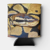 Coiled Ball Python Face Closeup Dosenkühler (Vorderseite)