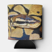 Coiled Ball Python Face Closeup Dosenkühler (Rückseite)