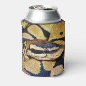 Coiled Ball Python Face Closeup Dosenkühler (Kanne Rückseite)