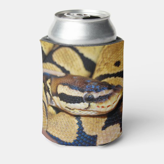 Coiled Ball Python Face Closeup Dosenkühler (Kanne Rückseite)