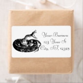 Coiled Rattlesnake Thunder_Cove (Insitu)