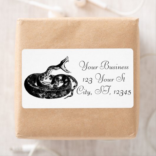 Coiled Rattlesnake Thunder_Cove (Insitu)