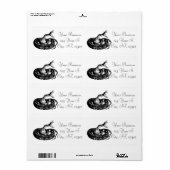 Coiled Rattlesnake Thunder_Cove (Vorne)