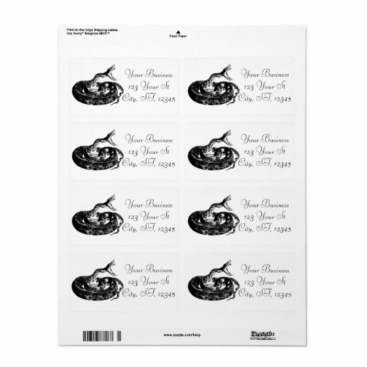 Coiled Rattlesnake Thunder_Cove (Vorne)