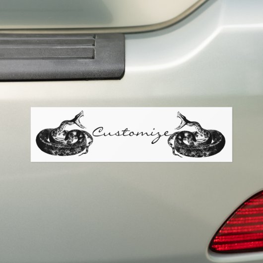 Coiled Rattlesnake Thunder_Cove Autoaufkleber (Auf Auto)