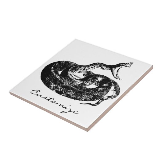 Coiled Rattlesnake Thunder_Cove Fliese (Seite)