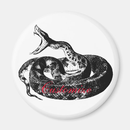 Coiled Rattlesnake Thunder_Cove Magnet (Vorne)