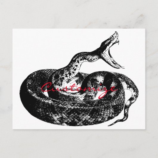 Coiled Rattlesnake Thunder_Cove Postkarte (Vorderseite)