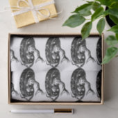 Coiled Rattlesnake Thunder_Cove Seidenpapier (Geschenk)
