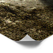 Coin Flowers in Crackled Vase Grunge Texture Poster (Ecke)