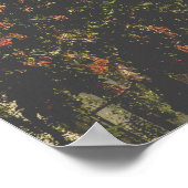 Coit Tower Poster (Ecke)