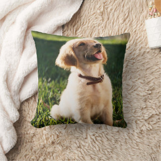 Cojín decorativo con diseño de perros kissen