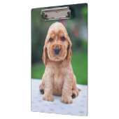 Coker Spaniel Puppy Klemmbrett (Links)