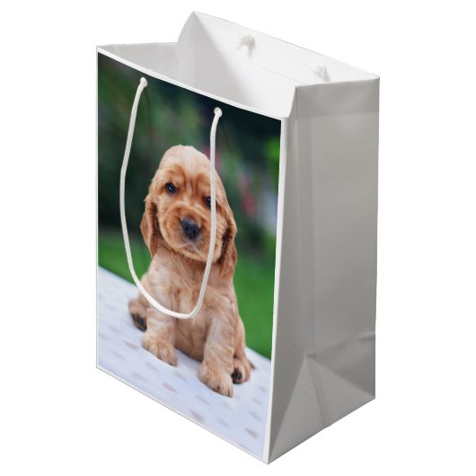 Coker Spaniel Puppy Mittlere Geschenktüte (Vorderseite Schrägansicht)