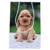 Coker Spaniel Puppy Mittlere Geschenktüte (Rückseite)