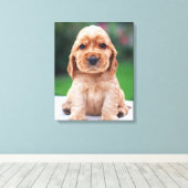 Coker Spaniel Welpe Leinwanddruck (Insitu (Holzboden))