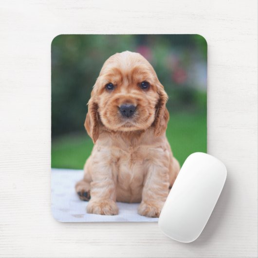 Coker Spaniel-Welpe Mousepad (Mit Mouse)