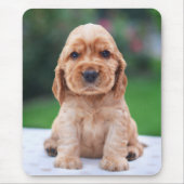 Coker Spaniel-Welpe Mousepad (Vorne)