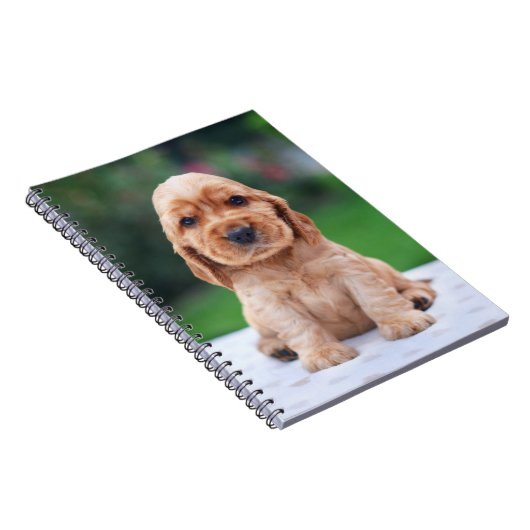 Coker Spaniel-Welpe Notizblock (Rechte Seite)