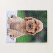 Coker Spaniel-Welpe Puzzle (Horizontal)