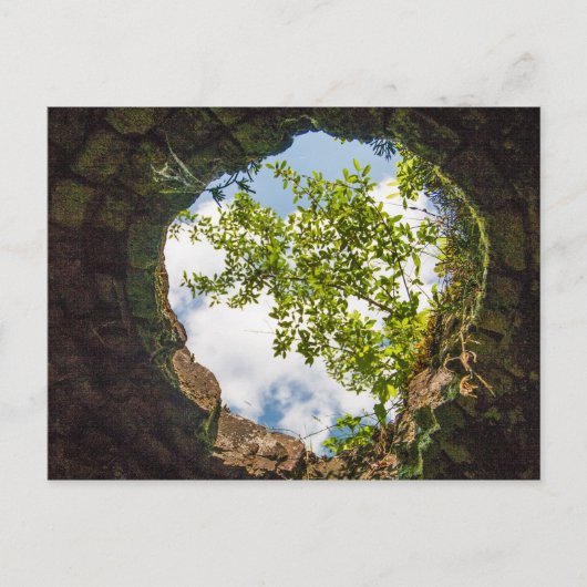 Coketown Coke Oven Ruins, West Virginia Postkarte (Vorderseite)