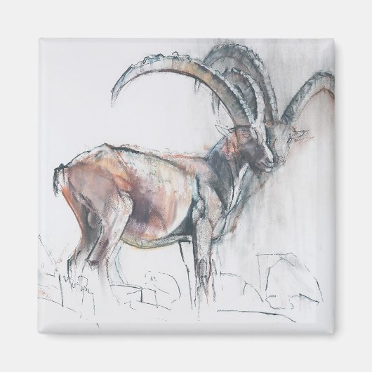 Col di Vermianaz Magnet (Vorne)