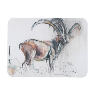 Col di Vermianaz Magnet